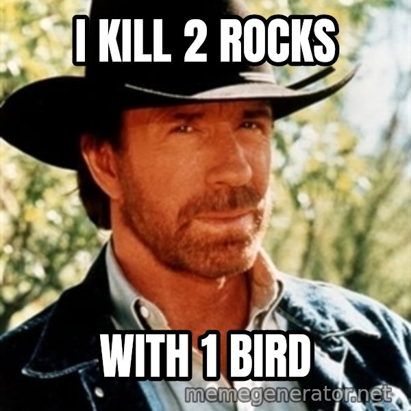 Brutal Chuck Norris meme: i kill 2 rocks / with 1 bird
