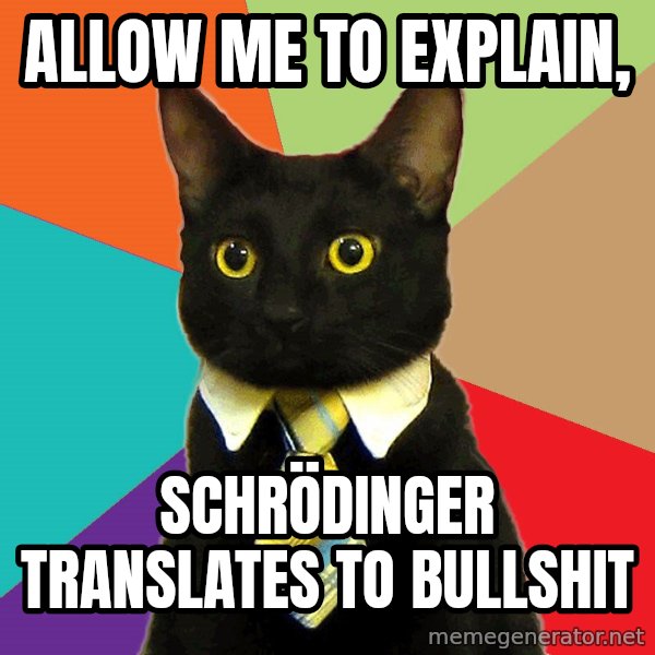 Business Cat meme: Allow me to explain, / Schrödinger Translates to bullshit