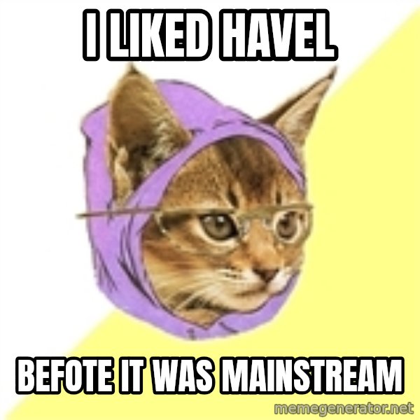 Hipster Cat meme: I LIKED HAVEL / BEFOTE IT WAS MAINSTREAM
