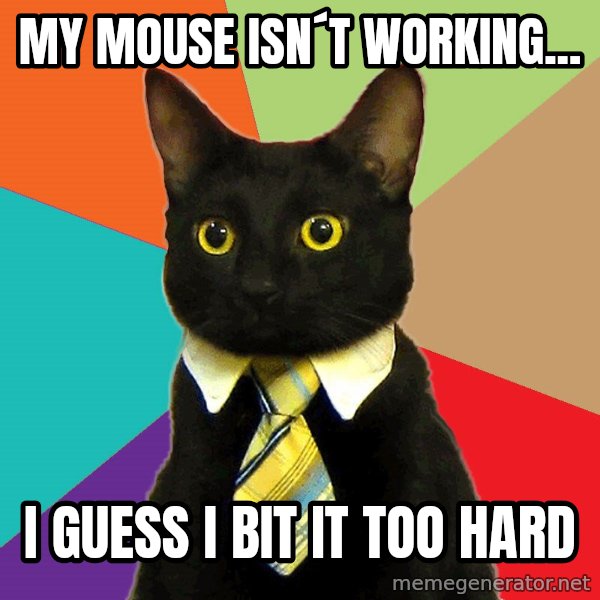 Business Cat meme: My mouse isn´t working... / i guess i bit it too hard