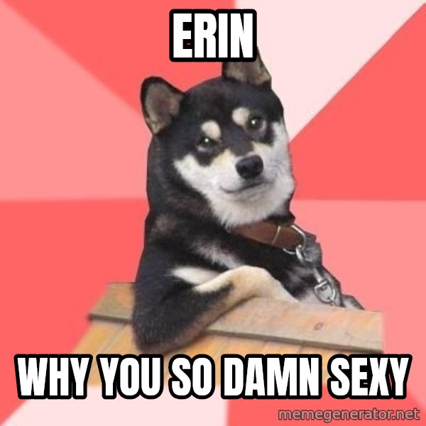 Cool Dog meme: Erin / Why you so damn sexy