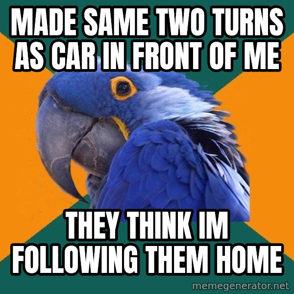 Paranoid Parrot meme: mADE SAME TWO TURNS AS CAR IN FRONT OF Me / thEY THINK IM following them home