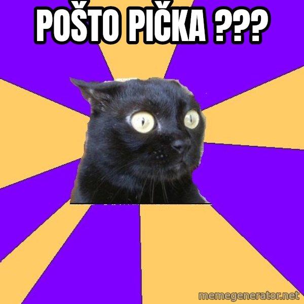 Anxiety Cat meme: Pošto pička ???