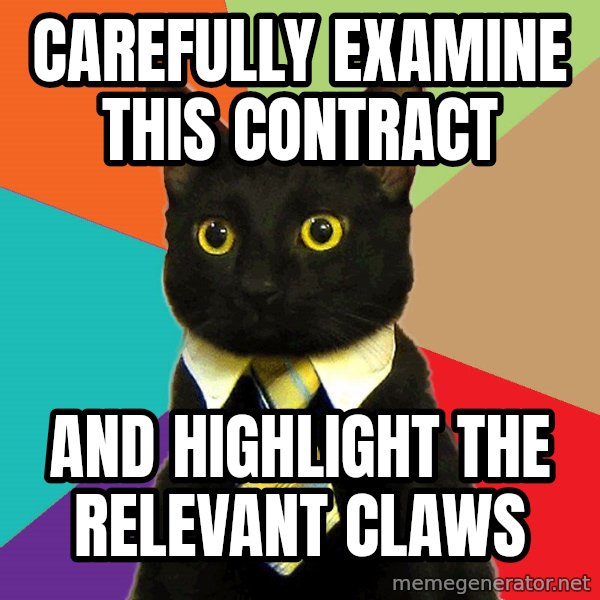 Business Cat meme: carefully examine this contract / and highlight the relevant claws