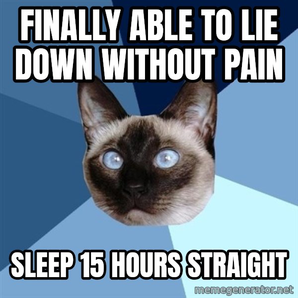 Chronic Illness Cat meme: finally able to lie down without pain / sleep 15 hours straight