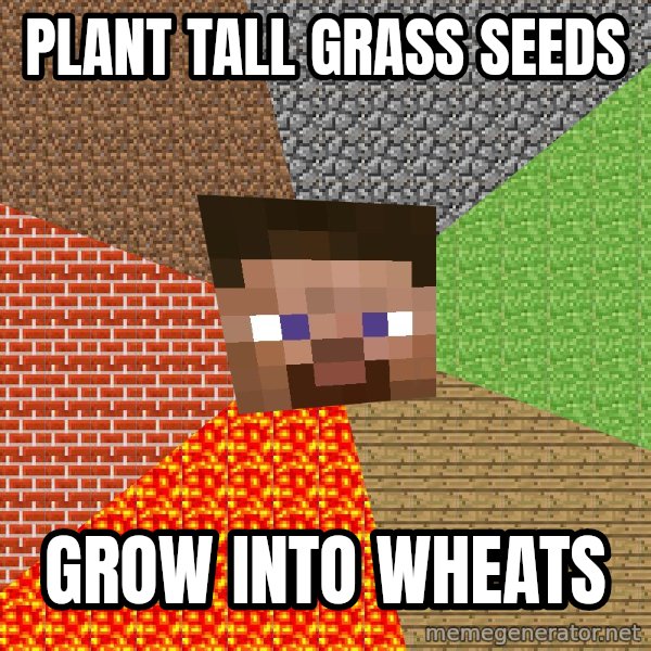 Minecraft Guy meme: plant tall grass seeds / grow into wheats