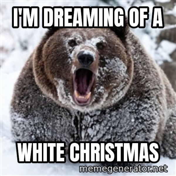Cocaine Bear meme: I'M DREAMING OF A / WHITE CHRISTMAS