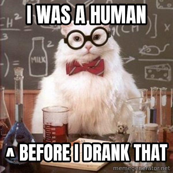 Chemistry Cat meme: i was a human / ^ before i drank that