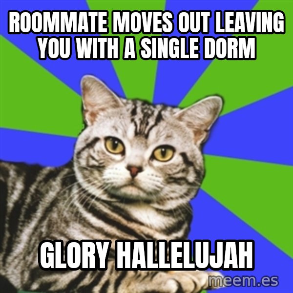 Introvert Cat meme: Roommate moves out leaving you with a single dorm / GLORY HALLELUJAH