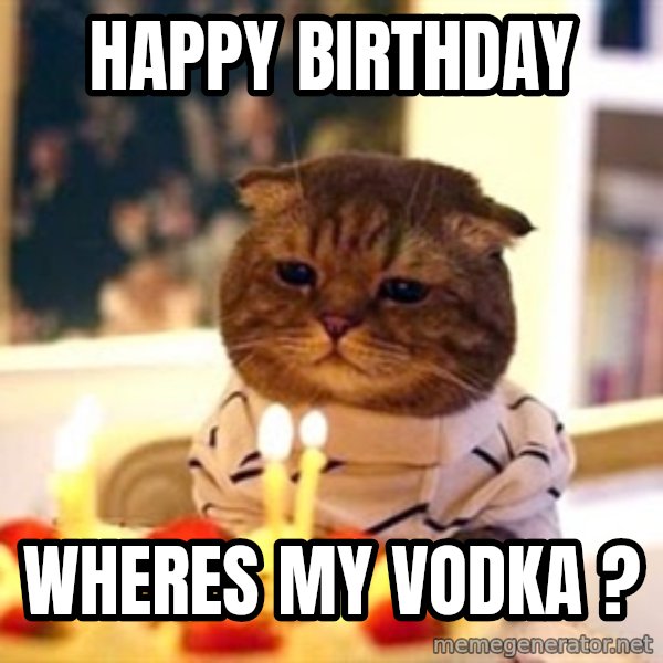 Birthday Cat meme: happy birthday / wheres my vodka ?