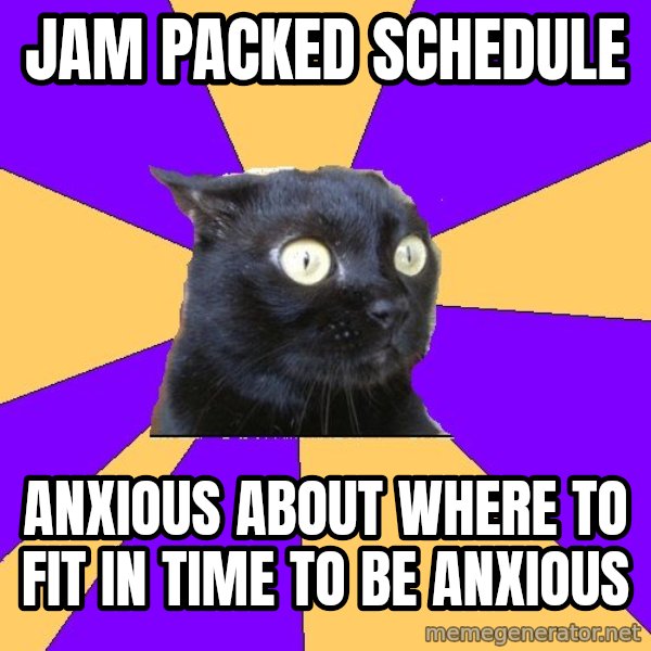 Anxiety Cat meme: JAM PACKED SCHEDULE / anxious about where to fit in time to be anxious