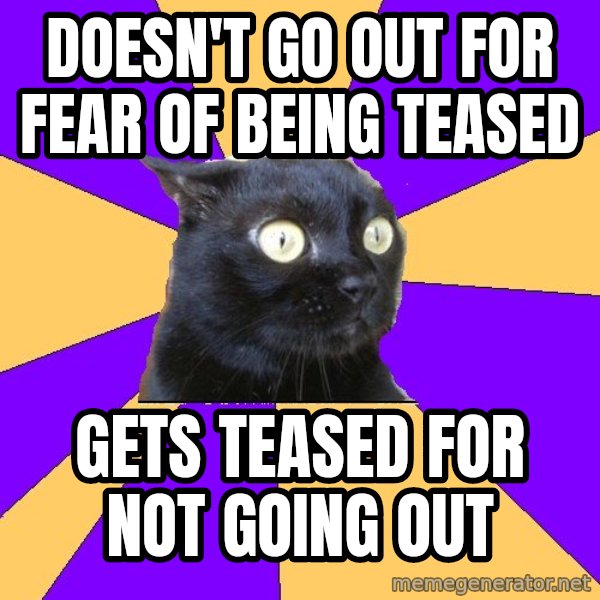Anxiety Cat meme: dOESN'T GO OUT FOR FEAR of being teased / gets teased for not going out