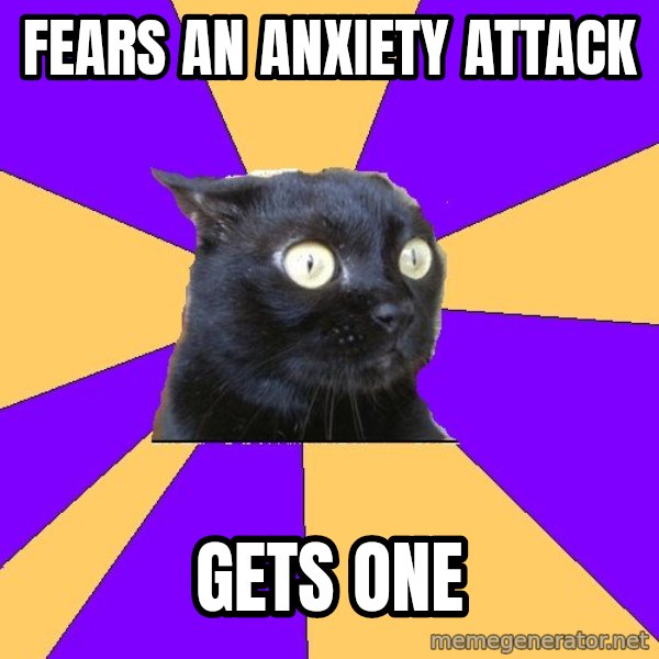 Anxiety Cat meme: fears an anxiety attack / gets one