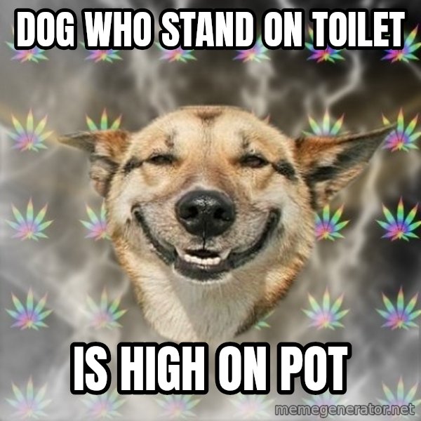 Stoner Dog meme: dog who stand on toilet / is high on pot