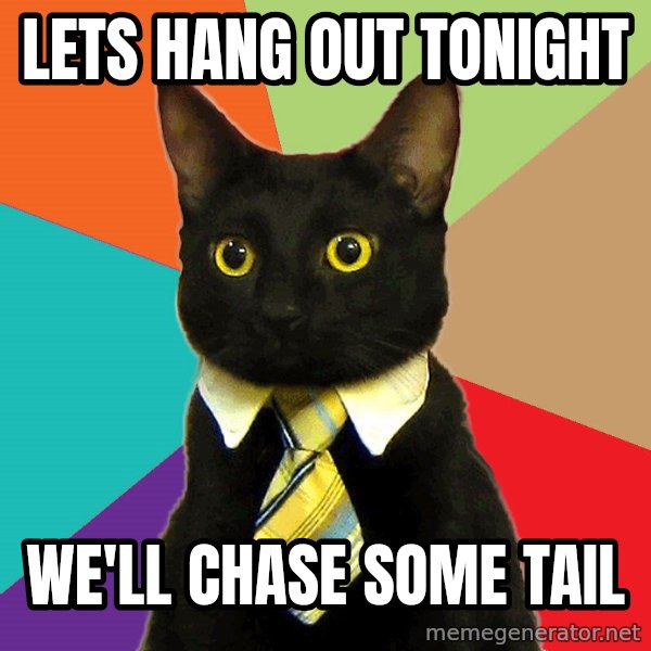 Business Cat meme: lets hang out tonight / we'll chase some tail