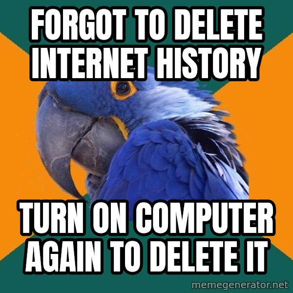 Paranoid Parrot meme: forgot to delete internet history / Turn on computer again to delete it