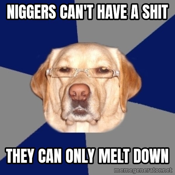 Racist Dog meme: niggers can't have a shit / they can only melt down