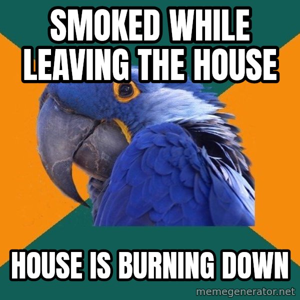 Paranoid Parrot meme: Smoked while leaving the house / house is burning down