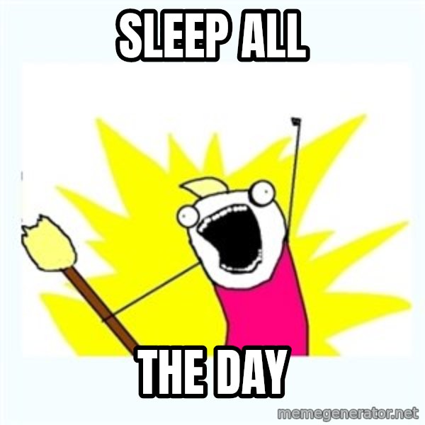 X ALL THE THINGS meme: Sleep ALL / the day