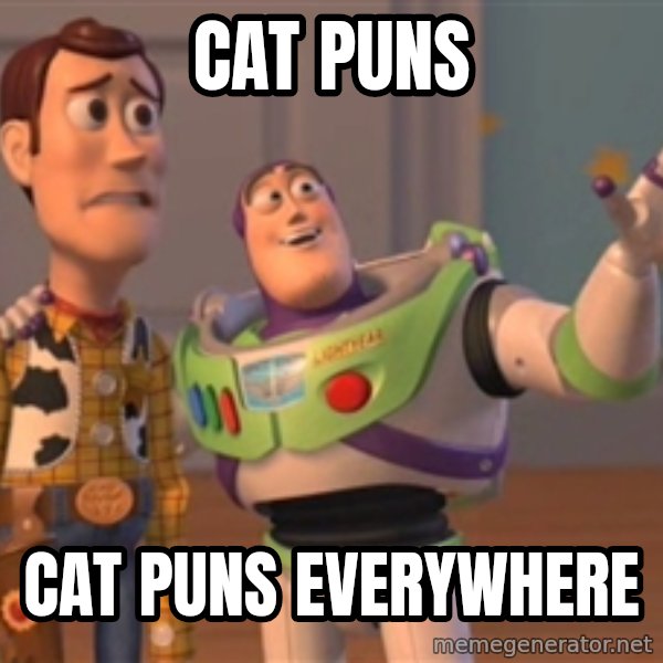 Tseverywhere meme: CAT PUNS / CAT PUNS EVERYWHERE