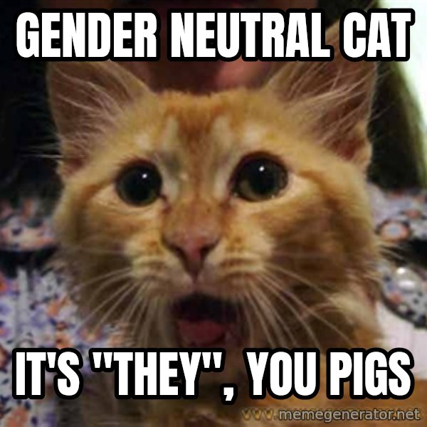 Crazy cat meme: Gender Neutral Cat / It's "They", you pigs