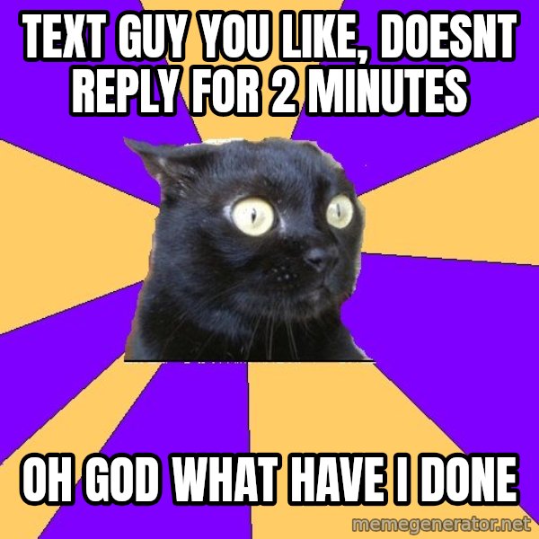 Anxiety Cat meme: text guy you like, doesnt reply for 2 minutes / oh god what have i done