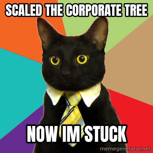 Business Cat meme: Scaled the corporate tree / now im stuck