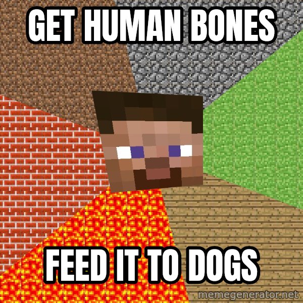 Minecraft Guy meme: get human bones / feed it to dogs