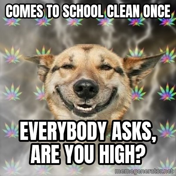 Stoner Dog meme: comes to school clean once / everybody asks, are you high?