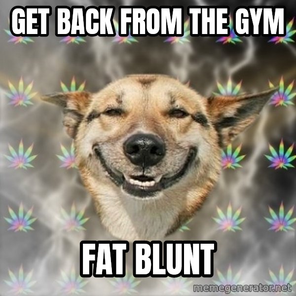 Stoner Dog meme: Get back from the gym / fat blunt