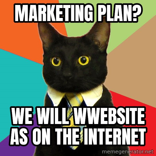 Business Cat meme: marketing plan? / We will wwebsite as on the internet