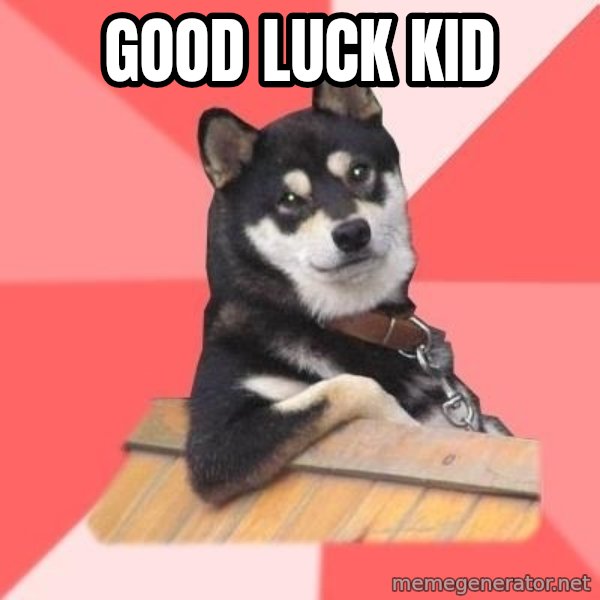 Cool Dog meme: Good Luck Kid