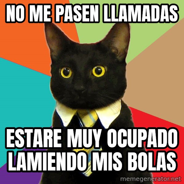 Business Cat meme: no me pasen llamadas / Estare Muy Ocupado Lamiendo Mis Bolas