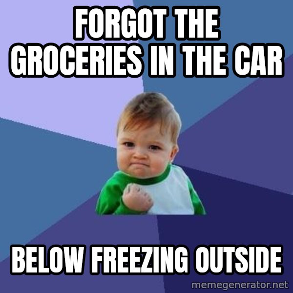 Success Kid meme: Forgot the groceries in the car / Below freezing outside