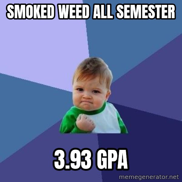 Success Kid meme: Smoked weed all semester / 3.93 gpa