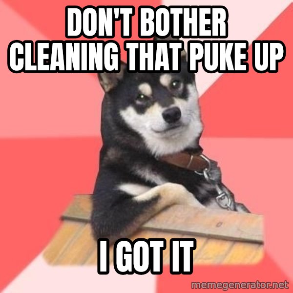 Cool Dog meme: Don't bother cleaning that puke up / I got it