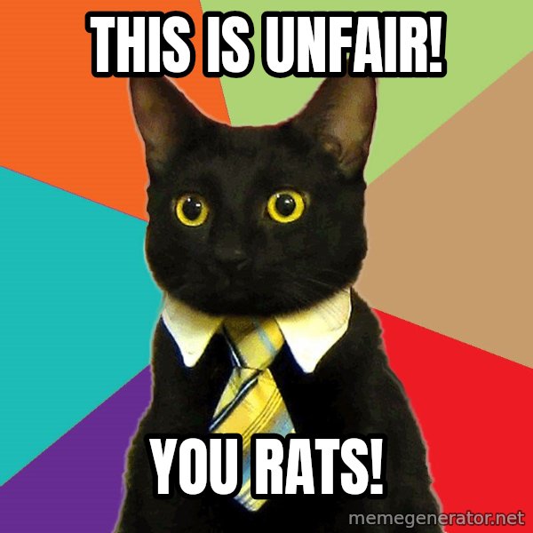 Business Cat meme: This is unfair! / you rats!