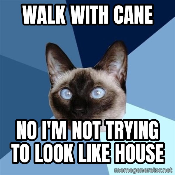 Chronic Illness Cat meme: Walk with cane / No I'm not trying to look like house