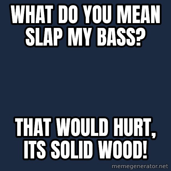 Progressive Bassist meme: what do you mean slap my bass? / that would hurt, its solid wood!