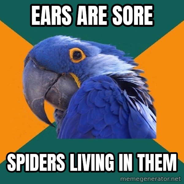 Paranoid Parrot meme: ears are sore / spiders living in them