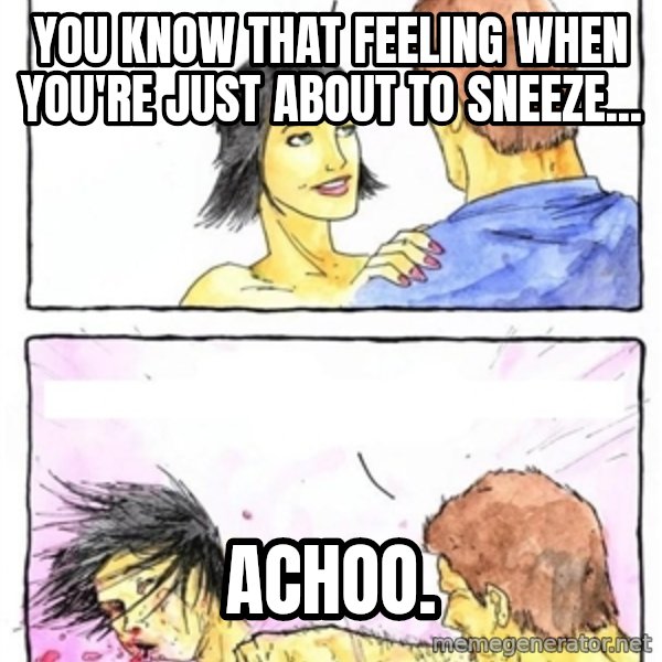 Alpha Boyfriend meme: You know that feeling when you're just about to sneeze... / achoo.