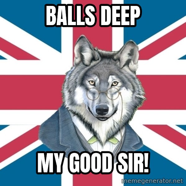Sir Courage Wolf Esquire meme: balls deep / my good sir!