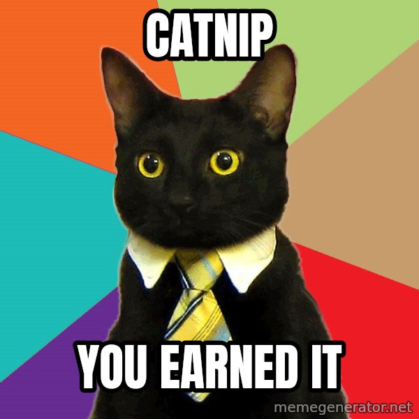 Business Cat meme: Catnip / You earned it