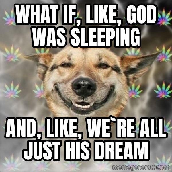 Stoner Dog meme: what if, like, god was sleeping / and, like, we`re all just his dream