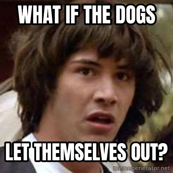Conspiracy Keanu meme: What if the dogs / let themselves out?