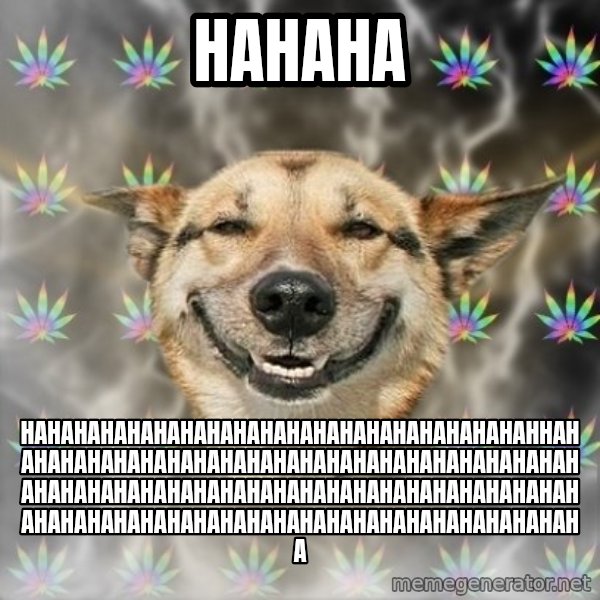Stoner Dog meme: hahaha / hahahahahahahahahahahahahahahahahahahahhahahahahahahahahahahahahahahahahahahahahahahahahahahahahahahahahahahahahahahahahahahahahahahahahahahahahahahahahahahahahahahahaha