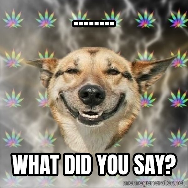 Stoner Dog meme: ........ / what did you say?