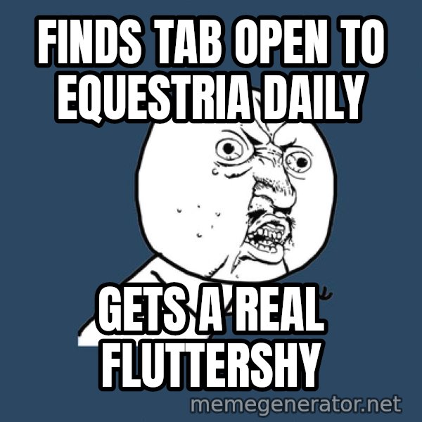 Ty Pennington meme: FINDS TAB OPEN TO EQUESTRIA DAILY / GETS A REAL FLUTTERSHY