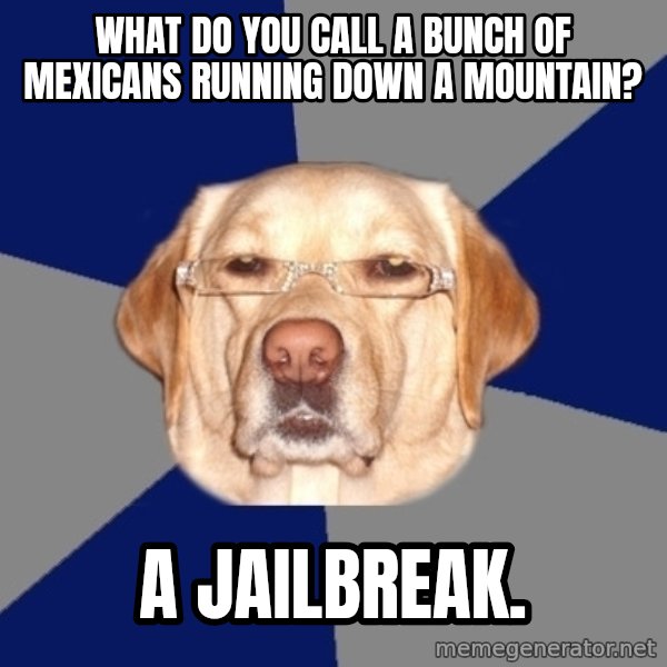Racist Dog meme: what do you call a bunch of mexicans running down a mountain? / a jailbreak.