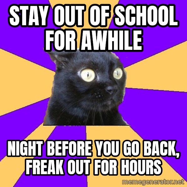 Anxiety Cat meme: stay out of school for awhile / Night before you go back, freak out for hours